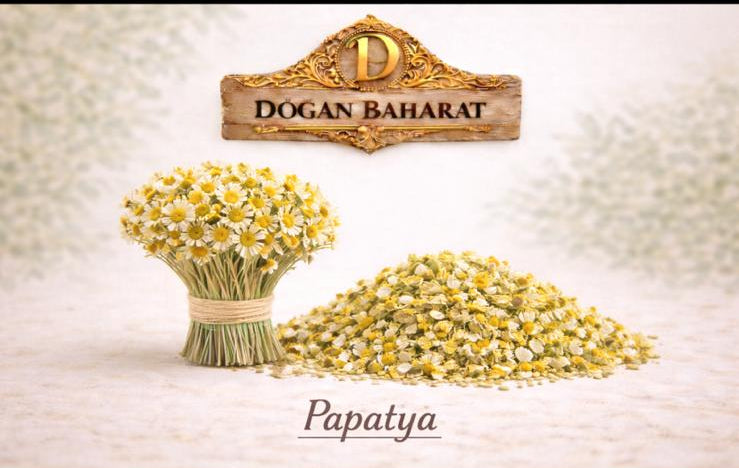 Papatya (100 Gr)