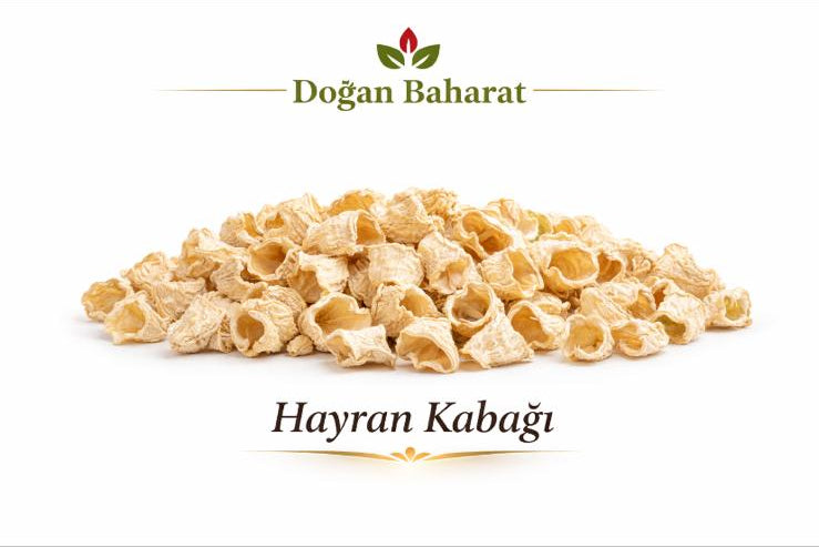 Bir İp Haylan Kabağı (50 Adet)