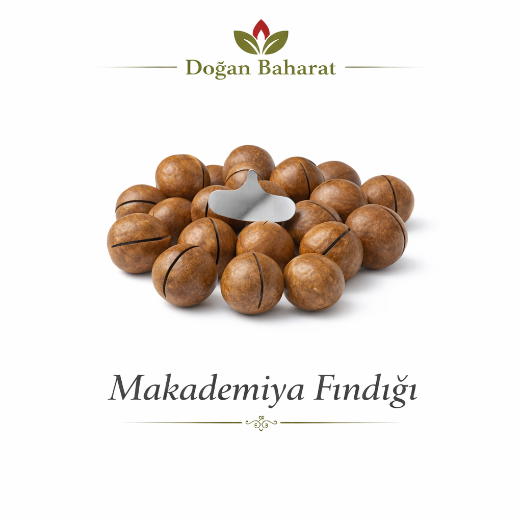 makedonya fındığı