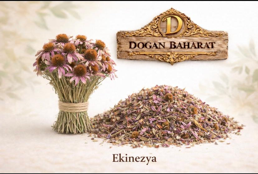 Ekinezya (100 Gr)