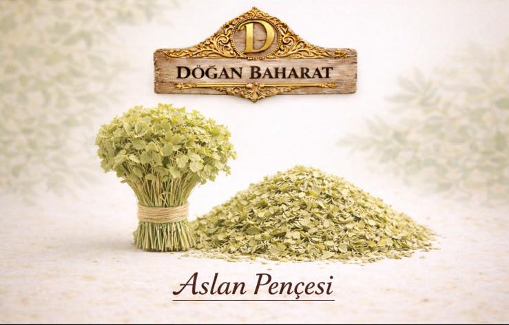 Aslan Pençesi (100 Gr)