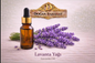Lavanta Yağı (20 ML)