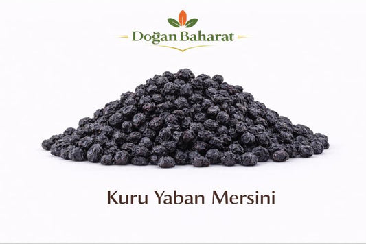 Kuru Yaban Mersini