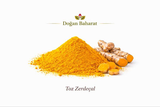 Taze Zerdeçal