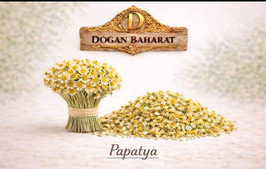 Papatya (100 Gr)