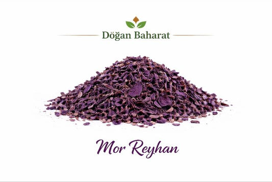 Mor Reyhan