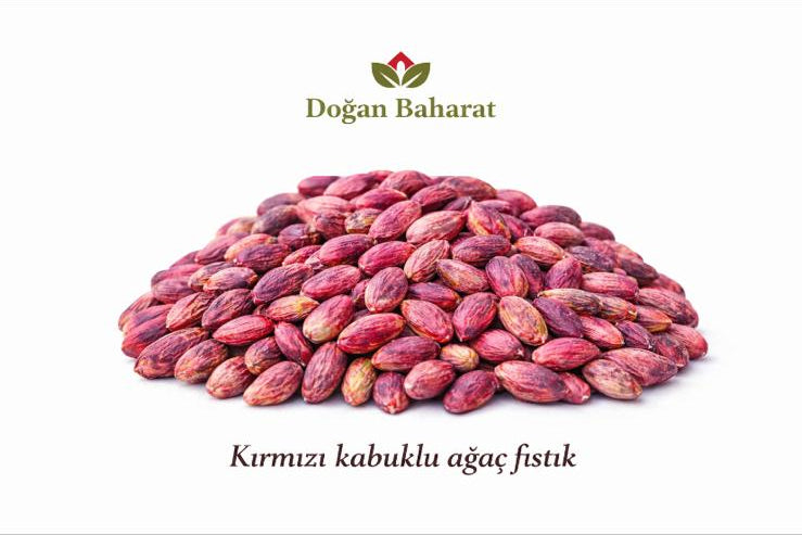 Kabuklu Ağaç Altı Fıstık