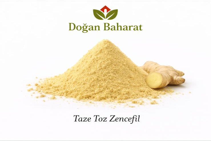 Toz Zencefil