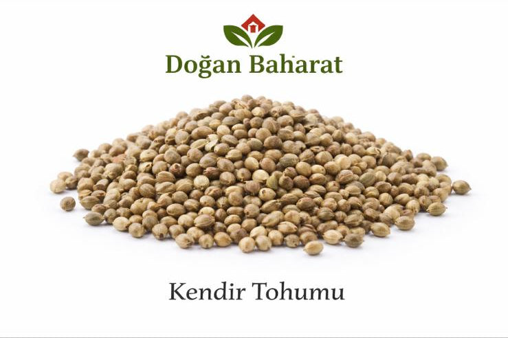 Kendir Tohumu