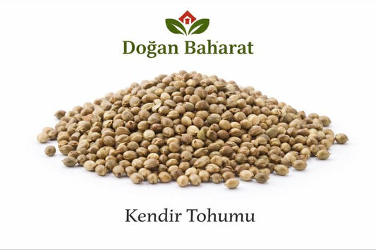 Kendir Tohumu